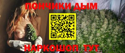 мдпв Заводоуковск