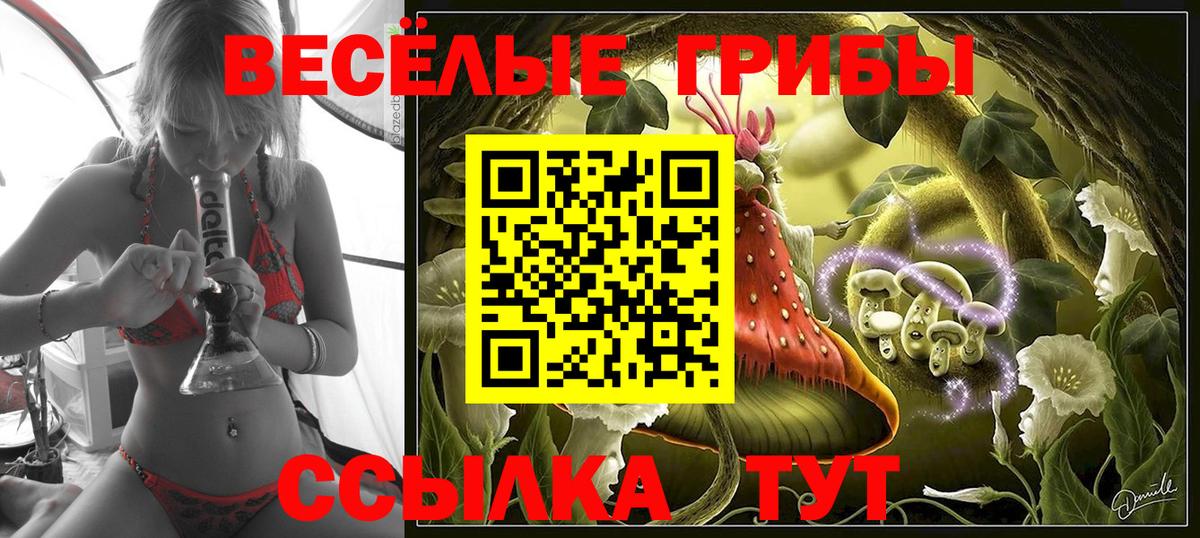 где можно купить наркотик  Вход с VPN  Зеленодольск  Псилоцибиновые грибы Psilocybine cubensis 